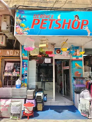 mooi pets 1