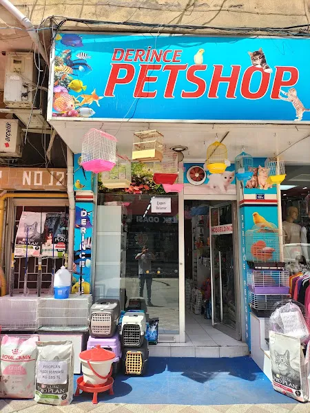 mooi pets 1 foto 1
