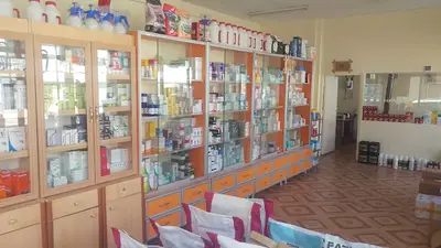 YBB Veteriner Kliniği (Vet Hekimi :Yasin Burak BENLİ )