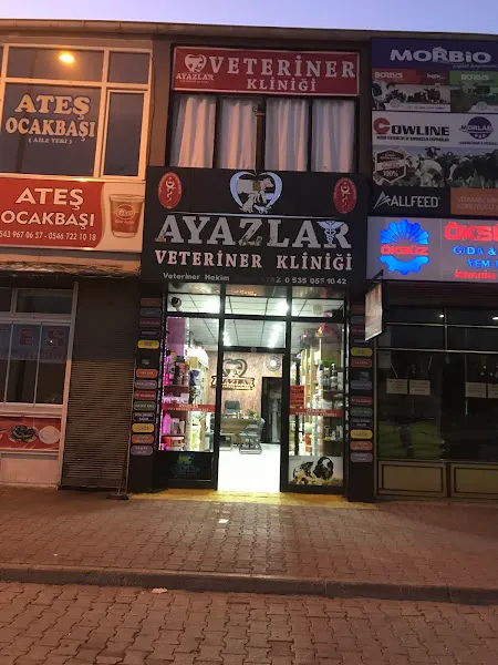 KILIC VETERINER KLINIGI foto 2