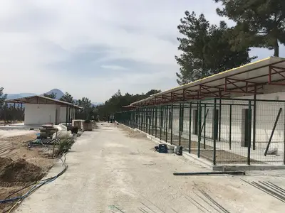 Mut Belediyesi Sokak Hayvanları Doğal Yaşam Alanı Rehabilitasyon ve Bakım Merkezi