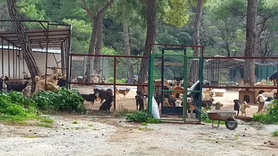MUĞLA DOĞA ve HAYVAN HAKLARI