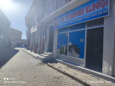 Asya Veteriner Kliniği
