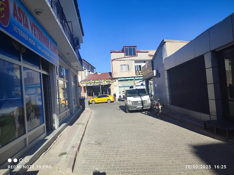 Asya Veteriner Kliniği foto 2