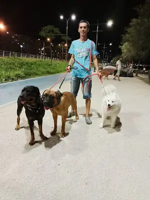 Kırmızıkedi Pet Kuaför Pansiyon