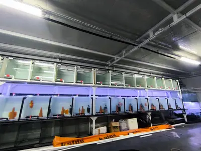 ARYA AQUA CENTER