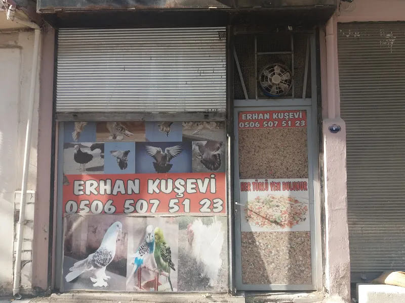 Erhan Kuşevi foto 1