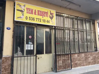 Yem & Kuşevi