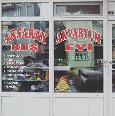 Aksaray sarayı