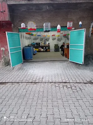 Geylani Petshop