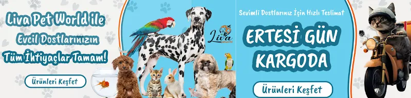 livapetworld foto 1