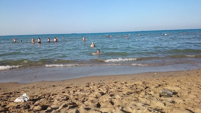 Köpek Kısırlaştırma Ve Rehabilitasyon Mer. foto 2