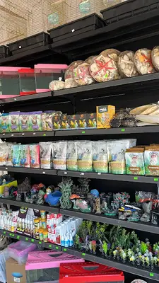 Can Dostlar petshop