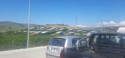 Tc il özel idaresi sahipsiz hayvanlar için bakımevi ve doğal yaşam alanı