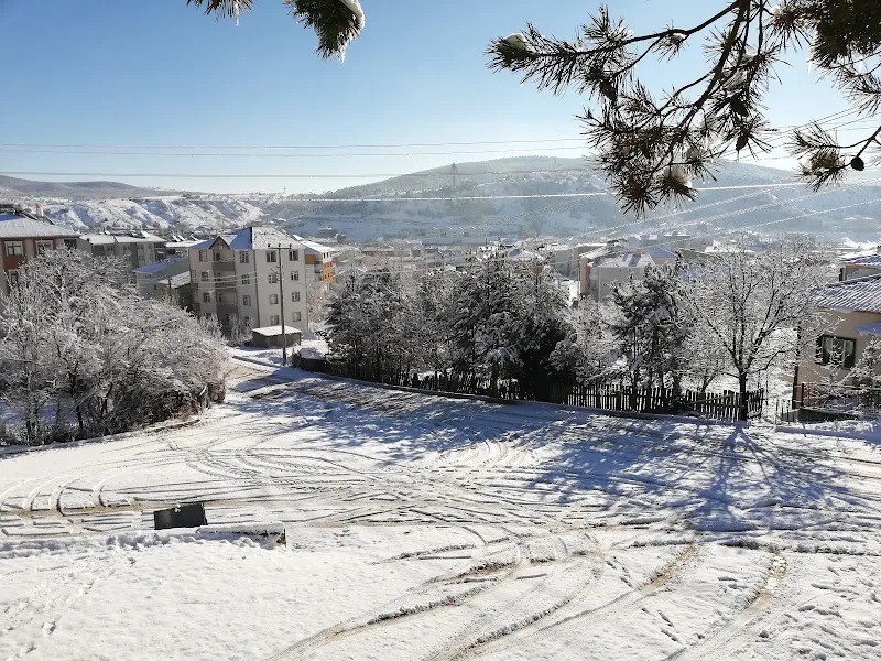 2699 Sayılı Şiran Tarım Kredi Kooperatifi foto 2