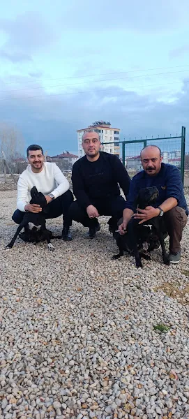 Şar Dağı Çiftliği foto 2