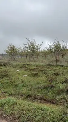 Kayseri Hayvan Mezarlığı