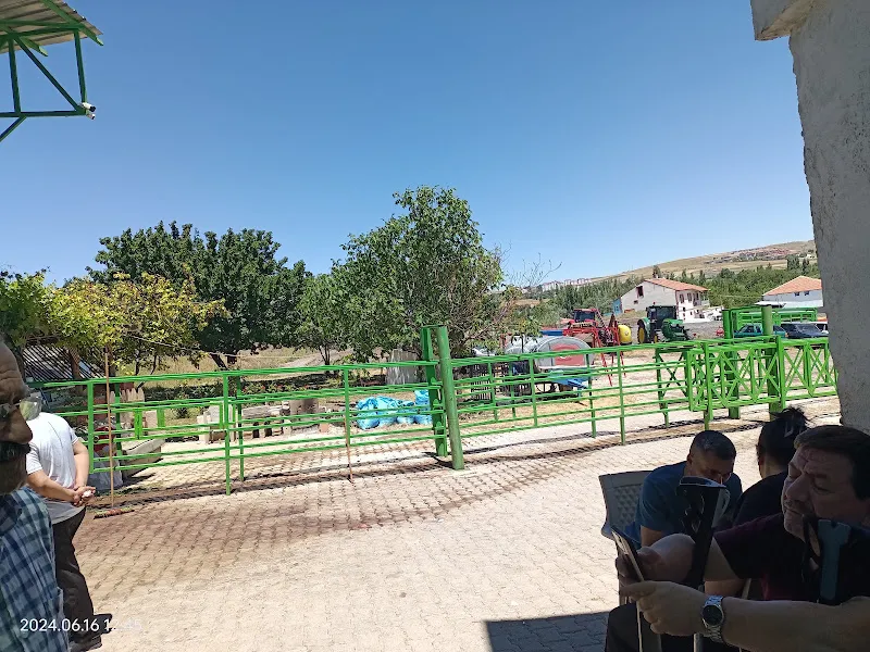 ÇAM TARIM VE HAYVANCILIK foto 2