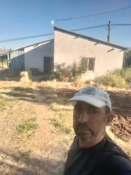 Dahini damızlık çiftliği foto 2