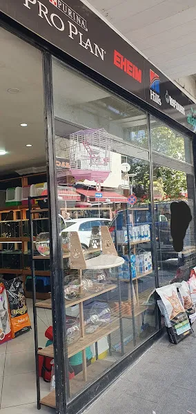 Gölcük Petshop foto 1