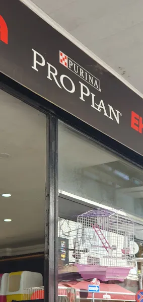 Gölcük Petshop foto 2