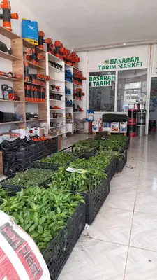 Roni Bajar Kuş Evi