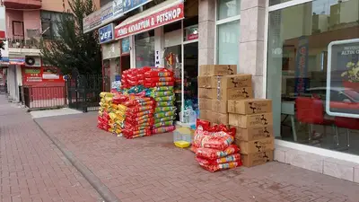Temel Petshop
