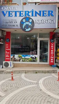 Hayat veteriner kliniği fotoğrafı