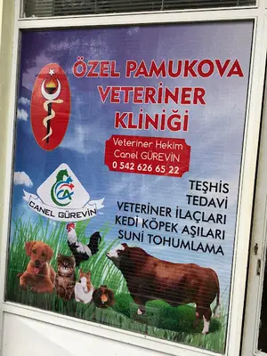 Canel GÜREVİN Özel Pamukova Veteriner Kliniği