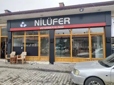 Koç Veteriner