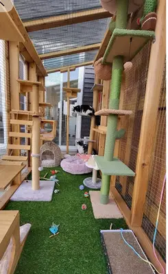 PET ARKADAŞ KEDİ BARINAĞI