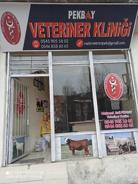 PEKBAY VETERİNER KLİNİĞİ foto 2