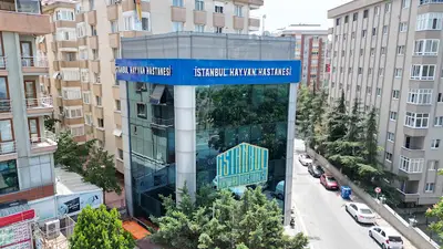 İstanbul Hayvan Hastanesi