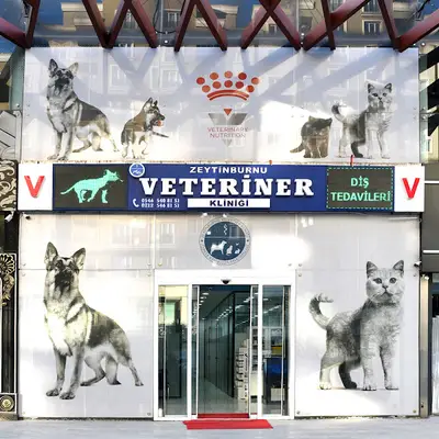 Zeytinburnu Veteriner Kliniği