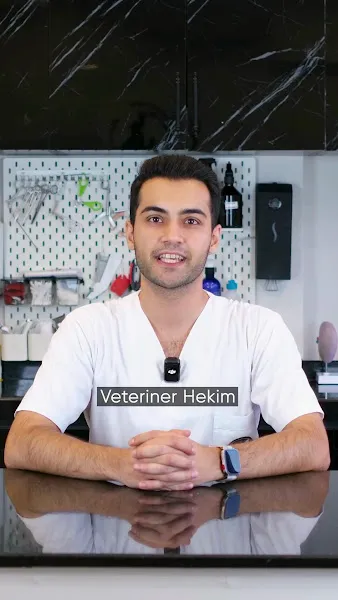 Vet216 Koşuyolu Veteriner Kliniği - Üsküdar Kadıköy 24 Saat Açık Acil Nöbetçi Veteriner Kliniği - Acıbadem, Altunizade foto 2