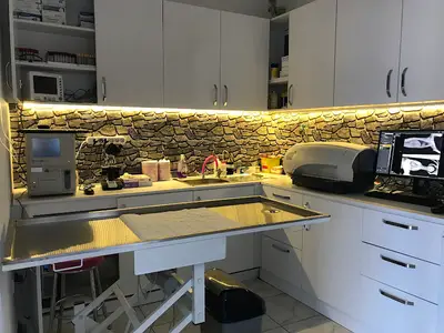 Vital Veteriner Kliniği