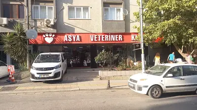 Asya Veteriner Kliniği