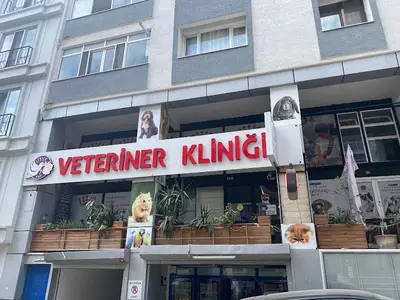 Leylek Vet Veteriner Kliniği 7 Gün Açık Acil Nöbetçi Veteriner Kliniği - Maltepe, Küçükyalı