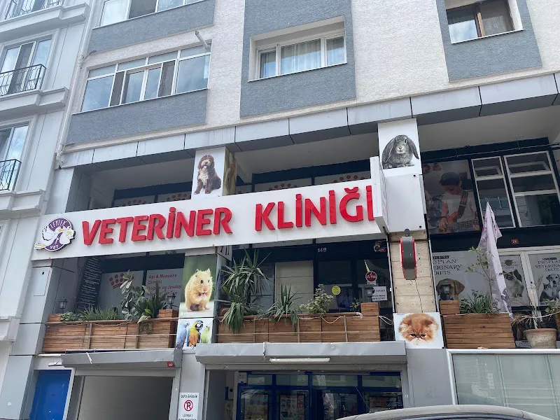 Leylek Vet Veteriner Kliniği 7 Gün Açık Acil Nöbetçi Veteriner Kliniği - Maltepe, Küçükyalı foto 1