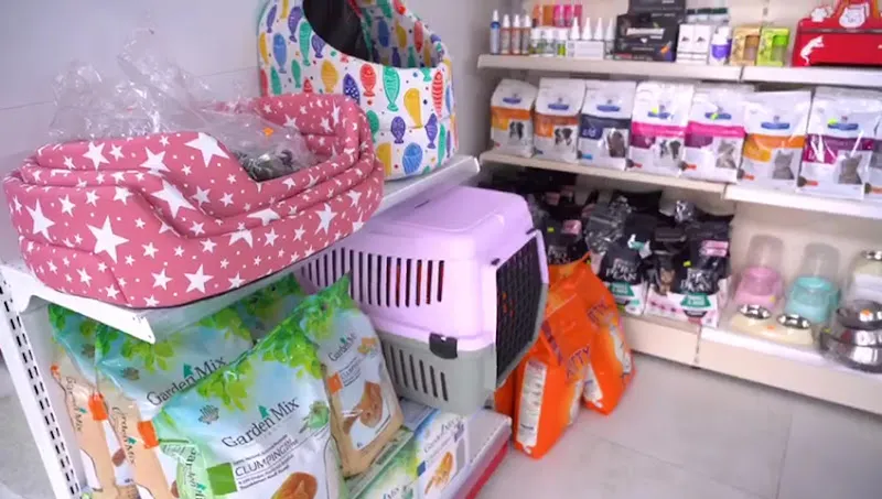 Leylek Vet Veteriner Kliniği 7 Gün Açık Acil Nöbetçi Veteriner Kliniği - Maltepe, Küçükyalı foto 2