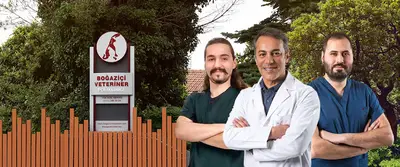Boğaziçi Veteriner Polikliniği