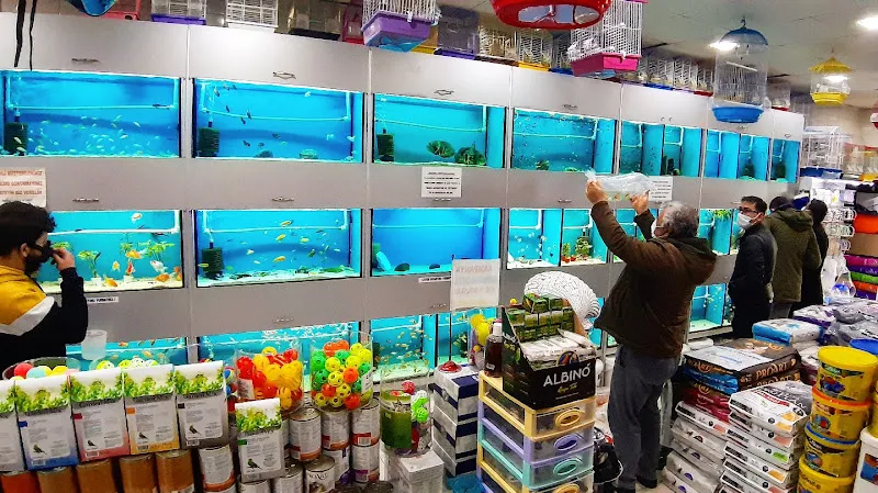 BERİL AKVARYUM PETSHOP foto 2