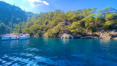 Akvaryum Bay