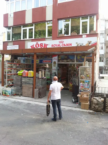 Köşk Akvaryum foto 1