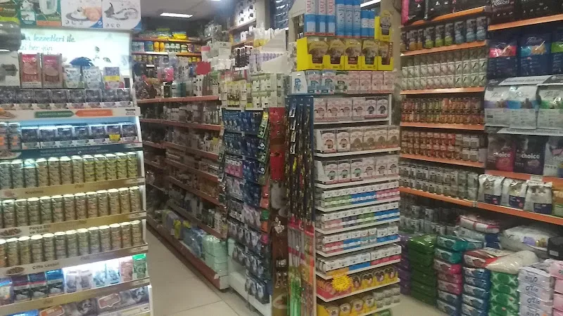 Köşk Akvaryum foto 2