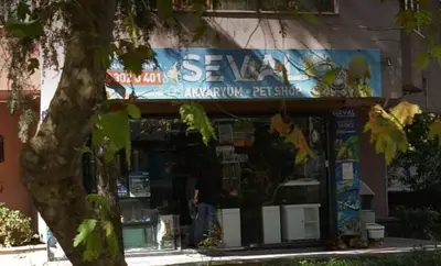 Seval Akvaryum