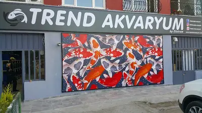 TREND Akvaryum