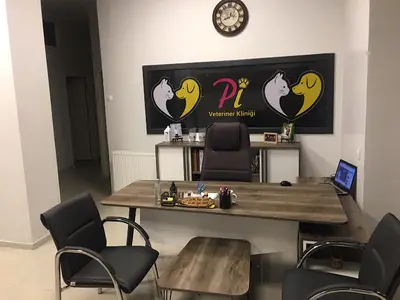 Pi Veteriner Kliniği