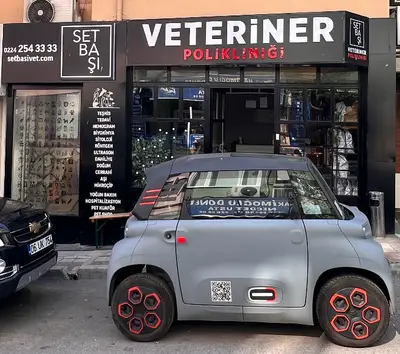 Setbaşı Veteriner 7/24 nöbetçi acil
