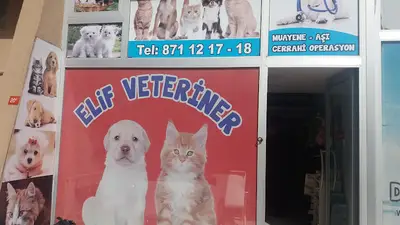 Elif Veteriner Kliniği